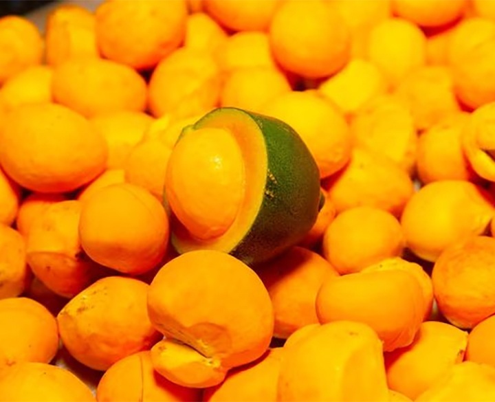 VIRGIN PEQUI OIL