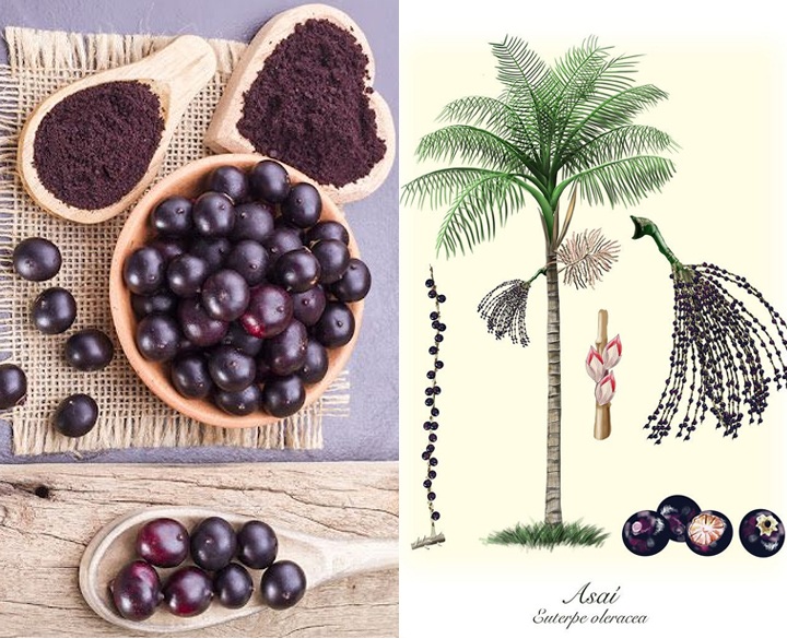 VIRGIN AÇAÍ OIL