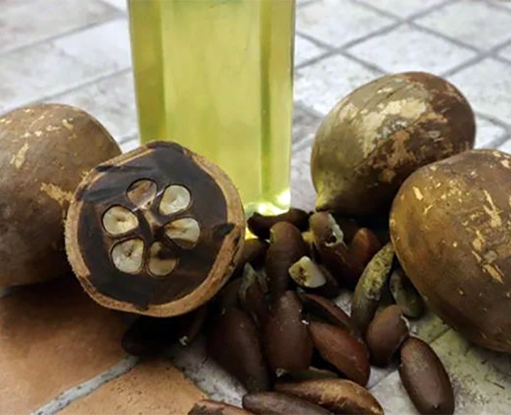 VIRGIN BABAÇU OIL