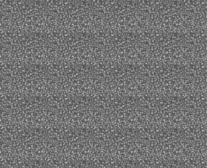 CELLULOBEADS MIP